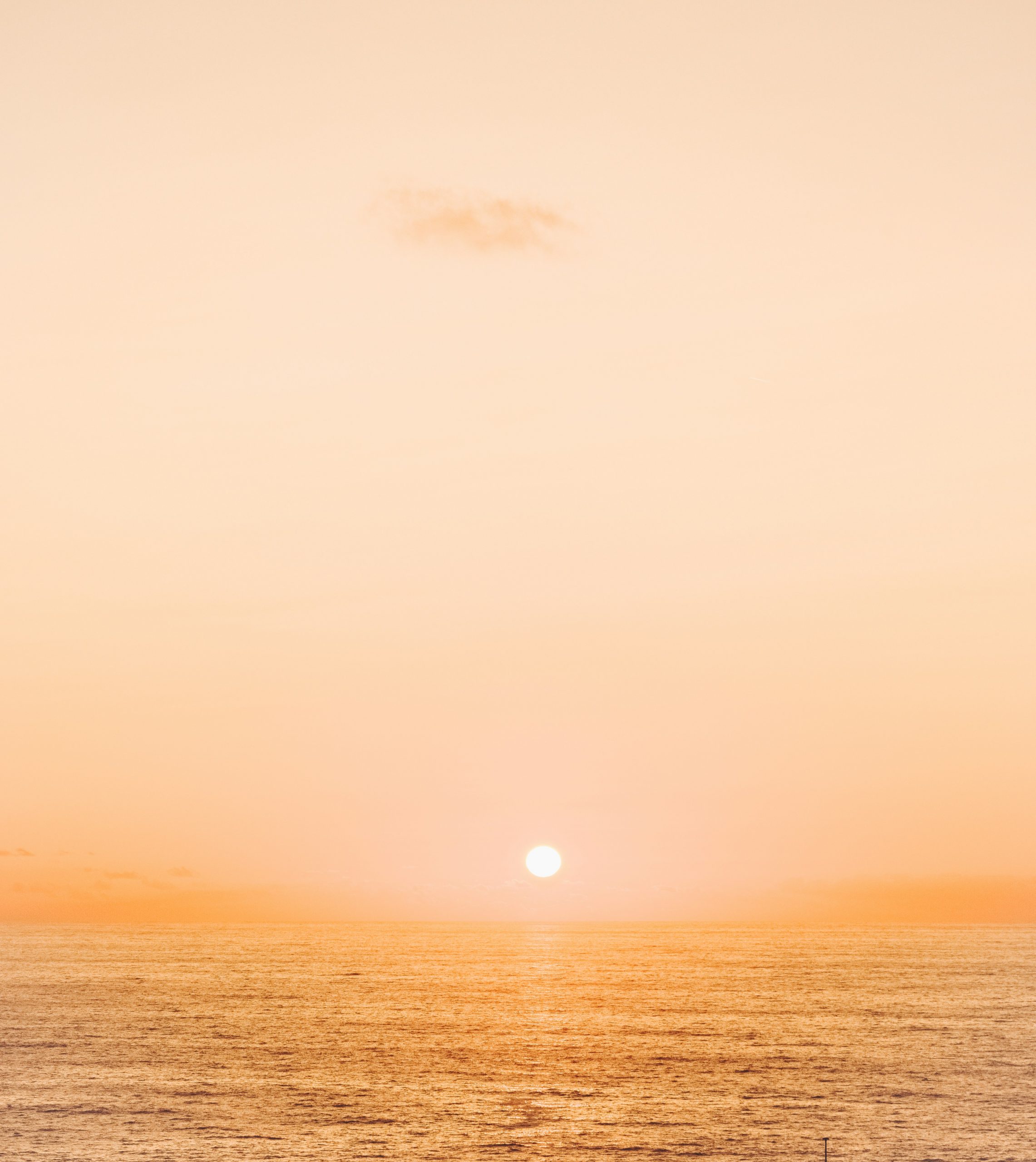 leyre-DGR4O3wOCD0-unsplash